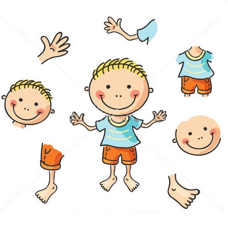 PARTS OF  THE BODY 2 PARTS OF  THE BODY 2